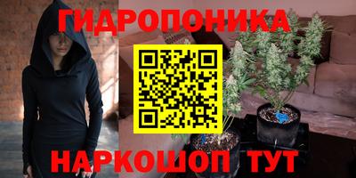 индика Краснодар