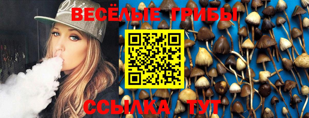 Псилоцибиновые грибы ЛСД  Псилоцибиновые грибы Psilocybe  Камышлов  Вход с VPN 